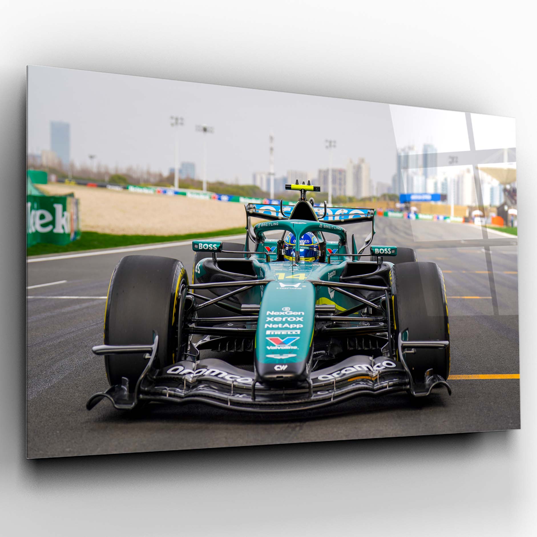 Fernando Alonso 002