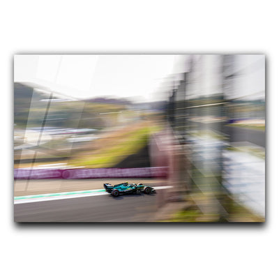 Fernando Alonso 003