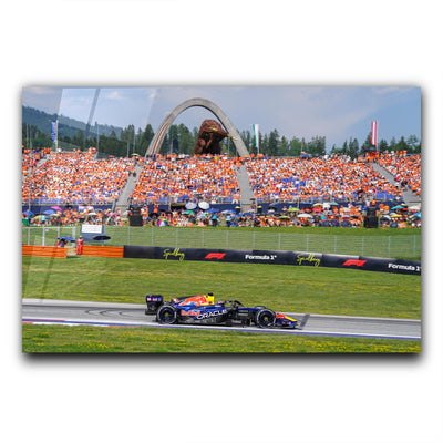 Max Verstappen 010